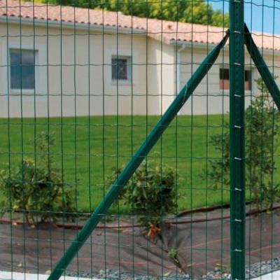 China Easily Assembled PVC Euro Fence Holland Plastic Coated Welded Fencing Mesh Garden Border Soft Rolls Netting for sale