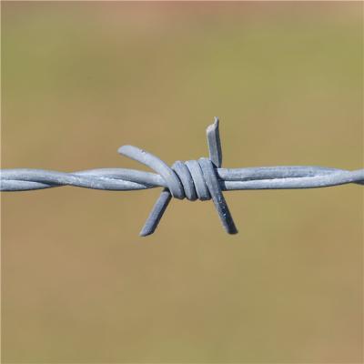 China Steel Wire Security Fence Wire Barbs Hot Dipped Galvanized Barbed Wire Farm Field Fence System Support Wire for sale