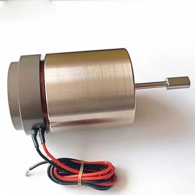 China High Speed High Effective Electric Motor Coil Magnetic Motor With Shaft for sale