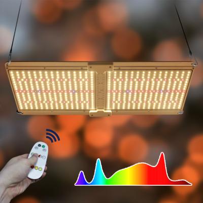 China Seed Starting Umol Band IR 60w Spectrum 240w Replacement Quantum 120w 200w 400w Samsung 720w UV Adjustable Supplier Led Grow Light 650w for sale