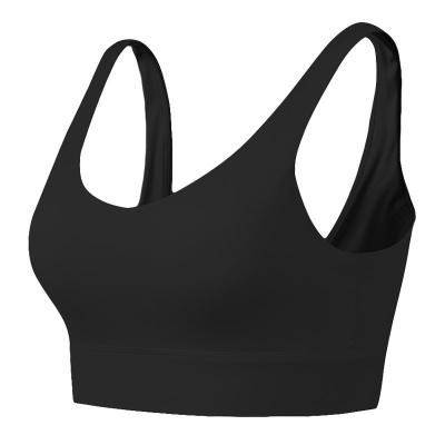 China Factory Price Wholesale Popular Hot Selling Breathable Sports 1 Piece High Quality Quick Dry Seamless Bra for sale