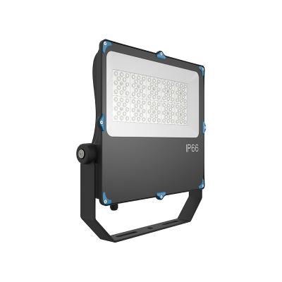 China 100W Outdoor LED Flood Lights Adjustable Mount 50w Led Floodlight For Gas Station for sale