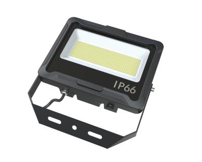 China Wall Mount 100W Flood Light Lamp Led Floodlight Outdoor For Fountain Building Facade for sale