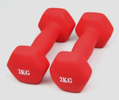 China China Standard YS 3077 Durable Rubber Coated Hex Dumbbell Buy 10kg Dumbbell Set Online for sale