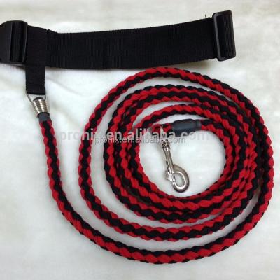 China Dog Leash Viable Premium Nylon Hands Paracord Bungee Rope Leash Free Jogging Leather Dog Collar for sale