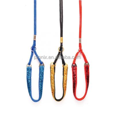 China Stocked Dog Show Lead Leash & Collar Bark Collar for sale