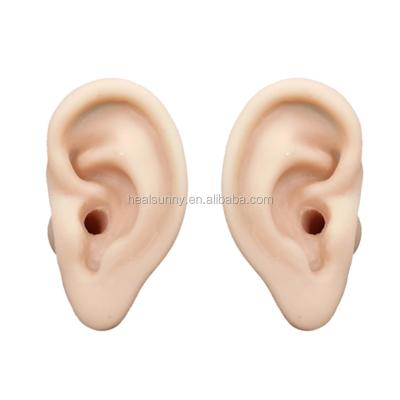 China Durable Silicone 3d-ear-model Human Ear Model for sale