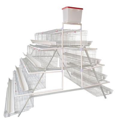 China Breathable Hot Selling Agricultural Equipment Chicken Cage One Layer Type 3 Layers Chicken Cage Farm Laying Hen Cage for sale