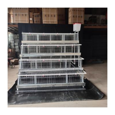 China Breathable Cheap Fully Automatic Poultry House Chicken Cage for sale