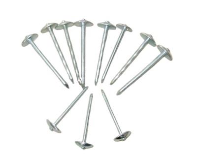 China Flat Galvanized Roofing Nails Rustproof Galvanized Screw Flat Head Roofing Nails for sale