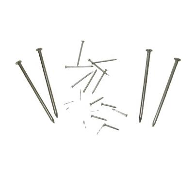 China Good Flat Factory Common Wire Nails Galvanized Iron Wire Nails for sale