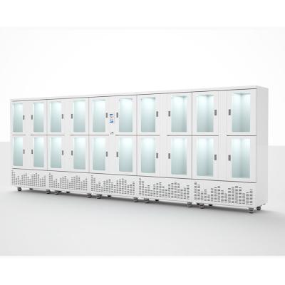 China Glass Material Freezer Refrigeration Equipment Vegetable Refrigerator Single-Temperature Design for sale