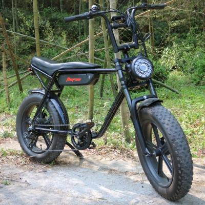 China Steel 750w 1000w E Bike Motor Dirt Mountain Fat Bike Fat Bike Electric Bike for sale