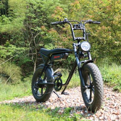 China Aluminum alloy new design ebike big tire snow best selling electric bike for sale