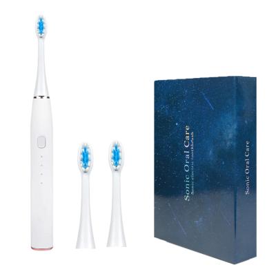 China OEM Dental Care Food Grade Materials Ultrasonic Portable Slim Waterproof Battery Travel Electric Toothbrush Electric Toothbrush for sale