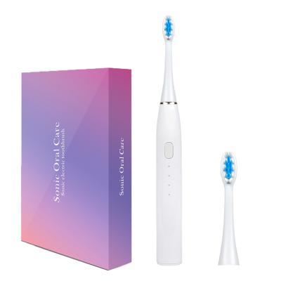 China Home Hotel OEM ODM Adults Hotel Moving Waterproof Sonic Electric Toothbrush for sale