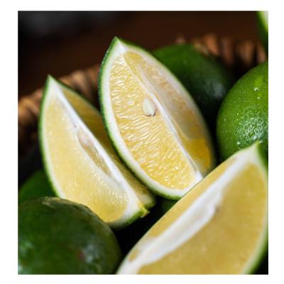 China Fresh fresh lime and fresh lime for sale