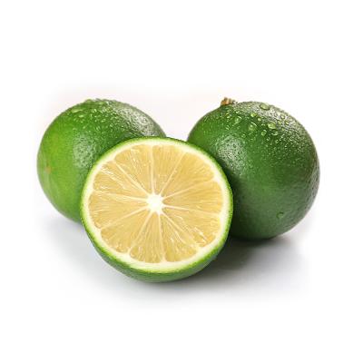 China Fresh natural fresh lime/lemon price, watery and no chemical fresh green 2019, best for sale