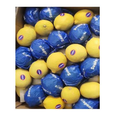 China FRESH LIME/FRESH ORGANIC YELLOW LEMON WITH BEST PRICE for sale