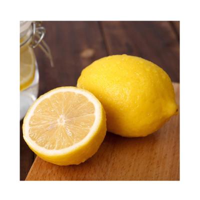 China Eureka fresh fresh lemon from CHINA for sale