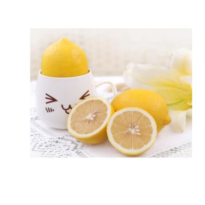 China High quality fresh newly harvested fresh juicy lemon with best price for sale