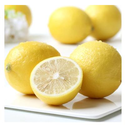 China China Wholesale High Quality Fresh Yellow Lemons for sale