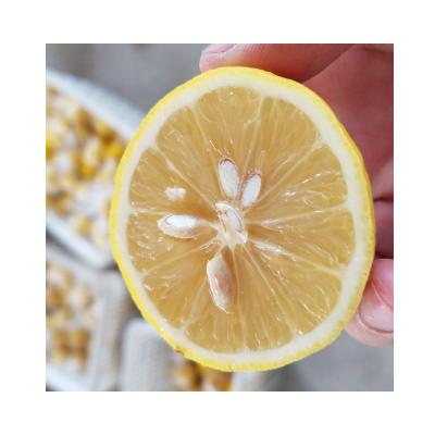 China Yellow Fresh Citrus Lemon Fruit Dimension 4.5-6cm Grade 1 Manufacture Supply All Year Round From Sichuan China 2020 for sale