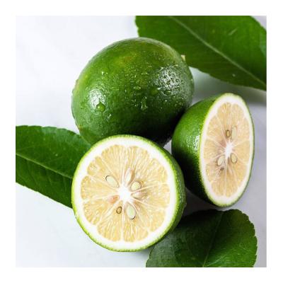 China Fresh Citrus Fresh Lime Vietnam Fresh Lemon with All Sizes Cheap Price for sale