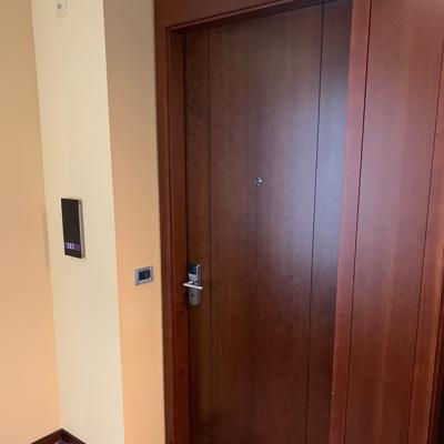 China Modern Walnut Veneer ASICO Wood Flush Door For Hotel for sale