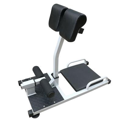 China Modern Gym Equipment Adjustable Sissy Squat Machine For Commercial Fitness Home Exercise for sale