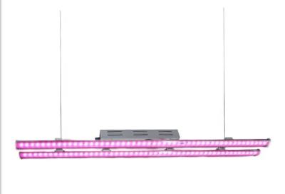 China 100W Strip  Led Indoor Grow Lights High PAR Output  For Grow Tents for sale