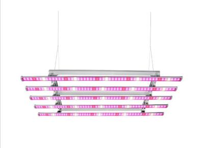 China 250W Strip LED Indoor Grow Lights COB SMD High PAR Output Vertical Farming Plant for sale