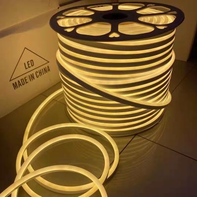 China Super Bright LANDSCAPE LANDSCAPE Double Sided Glow SMD2835 120led/m LED Flexible Neon Rope Neon Led Lights 8*16MM 12V 24V 110V 220V for sale