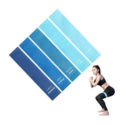 China Durable Fitness Exercise Loop Bands With 5 Different Resistance Levels Exercise Bands Resistance Loop Bands for sale