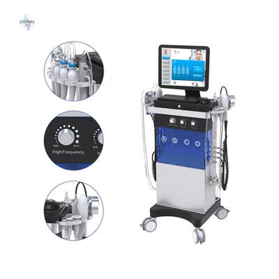 China Pigment Removal Goodway 12 in 1 Hydrowonder Murah Hydrodermabrasion Facial Machine Care Water Dermabrasion Hydra Facial Machine for sale