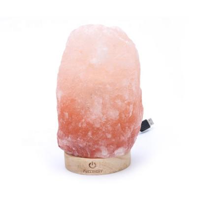 China Nature Home Light Decor Wood Led Base Himalayan Pink Salt Industrial Neon Nightstand Lamp for sale