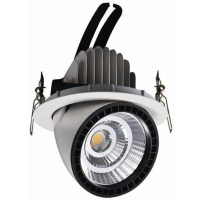 China Modern 30w wifi control cct switch and dimmable gimbal led downlight for sale