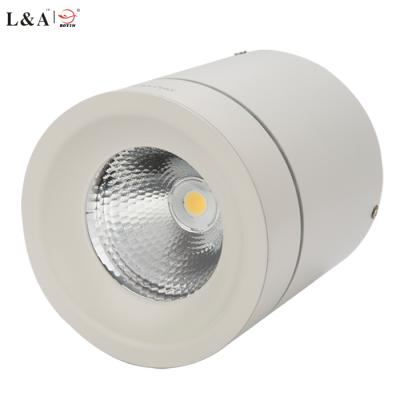 China 30w 50W outdoor mounted color temperature adjustable and dimmable round surface mounted downlight for sale