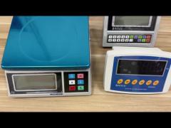 Customized Digital Weighing Scale