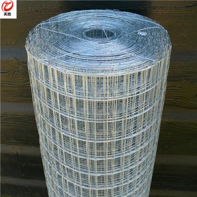 China High Tensile High Quality Galvanized / PVC Coated Fencing Net Iron Wire Mesh for sale