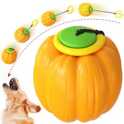 China Hand Shape Hand Shape Pumpkin Balls Hand Shape Throwing Chew Toy Dog Sustainable Throwing Background Dog Walking Dog Training Balls Outdoor Game Fun Halloween for sale