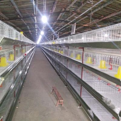 China Chicken Hot Dip Galvanized Bird Battery Layer Cages Made In China for sale