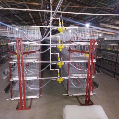 China Chicken Layers Poultry Cages For Sale Overseas for sale