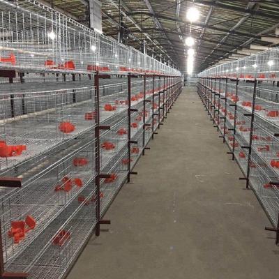 China Hot Dipped Galvanized Cage Layer Chicken House / Poultry Farm Design for sale