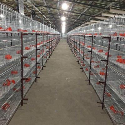 China Farms Kenya Chicken Battery Cages Layers Chicken Farm A Type Cages for sale