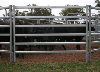 China 6 Bar Demountable Horse Round Yard Panels Security Portable Round Pen for sale