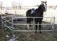 China Extremely Long Lasting Horse Corral Panels Heavy Gauge Carbon Steel Material for sale