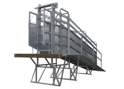 China Common Sizes Portable Sheep Loading Ramp , Lightweight Livestock Loading Chute for sale