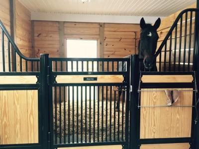 China Amazing Horse Stable Partitions / Steel Horse Stalls With Single Sliding Gate for sale