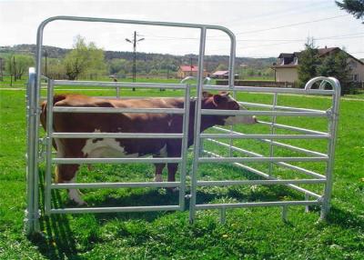 China Bulto galvanizado resistente artesonan/40x70m m del ganado de la yarda del corral para el ganado en venta